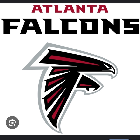 Mitchell & Ness Vintage 90's Atlanta Falcons RSVP Gallery Snakeskin Snapback Hat - Picture 3 of 16